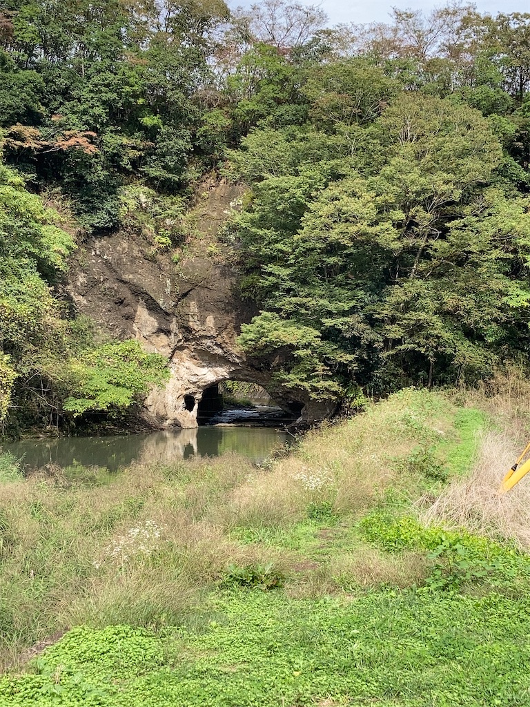 f:id:masaru-arameya:20201020185726j:image f:id:masaru-arameya:20201020185726j:image