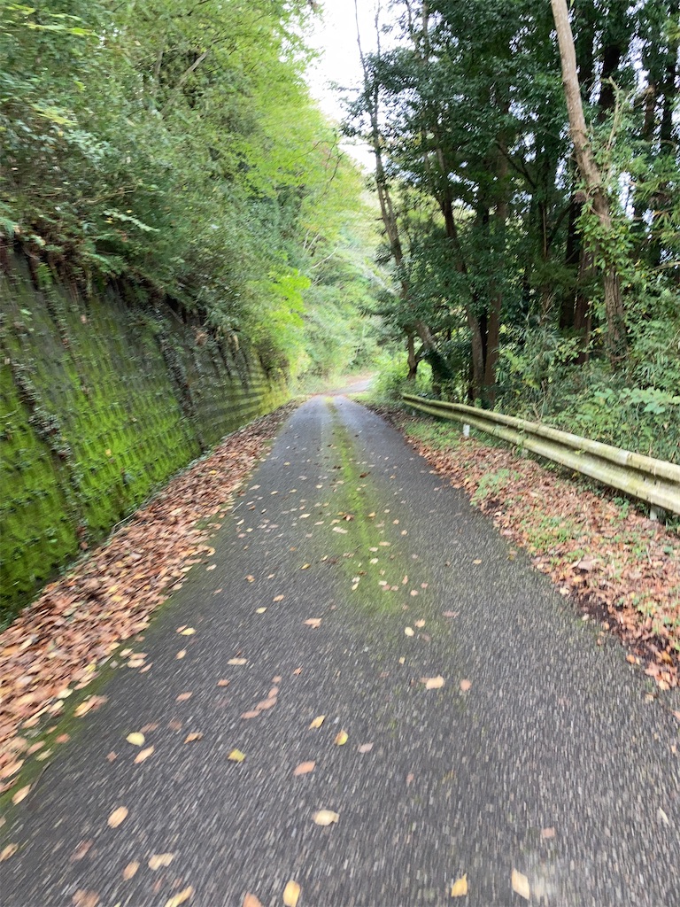 f:id:masaru-arameya:20201020190329j:image f:id:masaru-arameya:20201020190329j:image