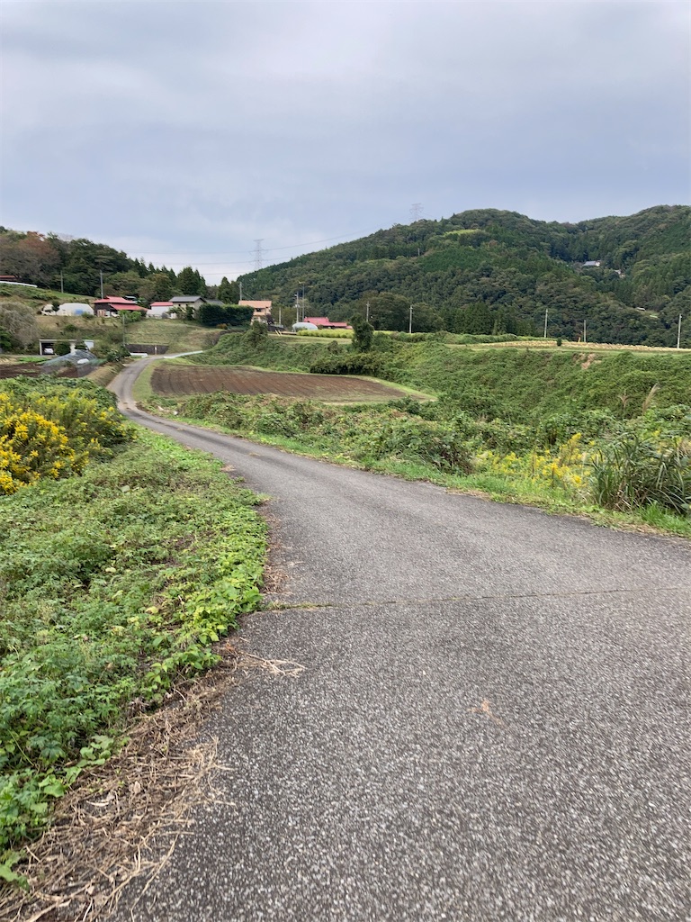 f:id:masaru-arameya:20201020190333j:image f:id:masaru-arameya:20201020190333j:image