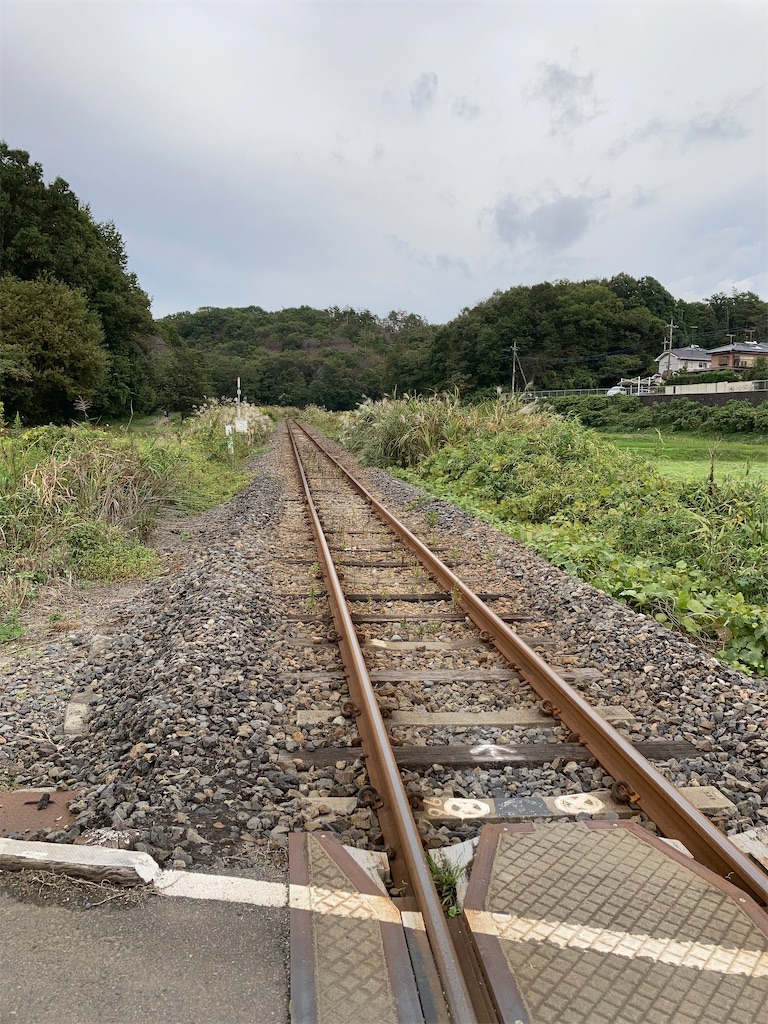 f:id:masaru-arameya:20201020200754j:image f:id:masaru-arameya:20201020200754j:image