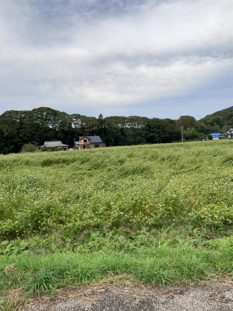 f:id:masaru-arameya:20201021085739j:image f:id:masaru-arameya:20201021085739j:image