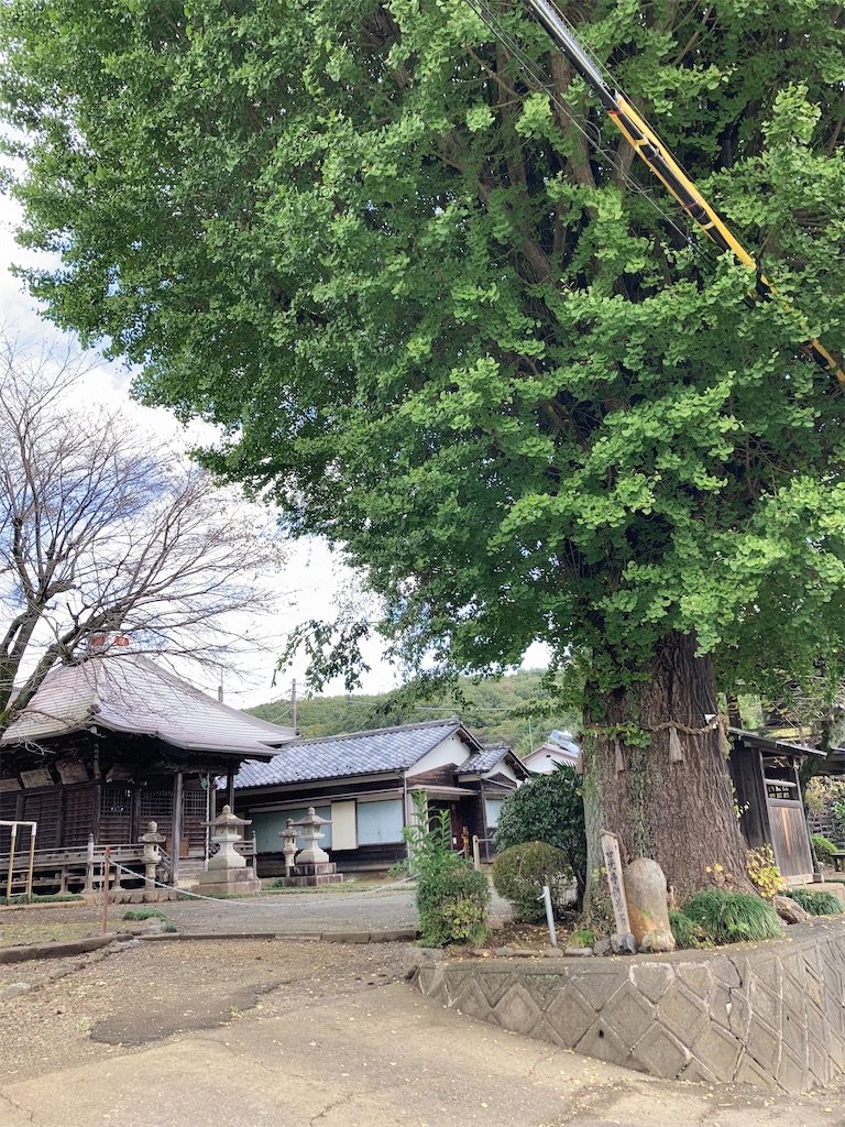 f:id:masaru-arameya:20201026094109j:image f:id:masaru-arameya:20201026094109j:image