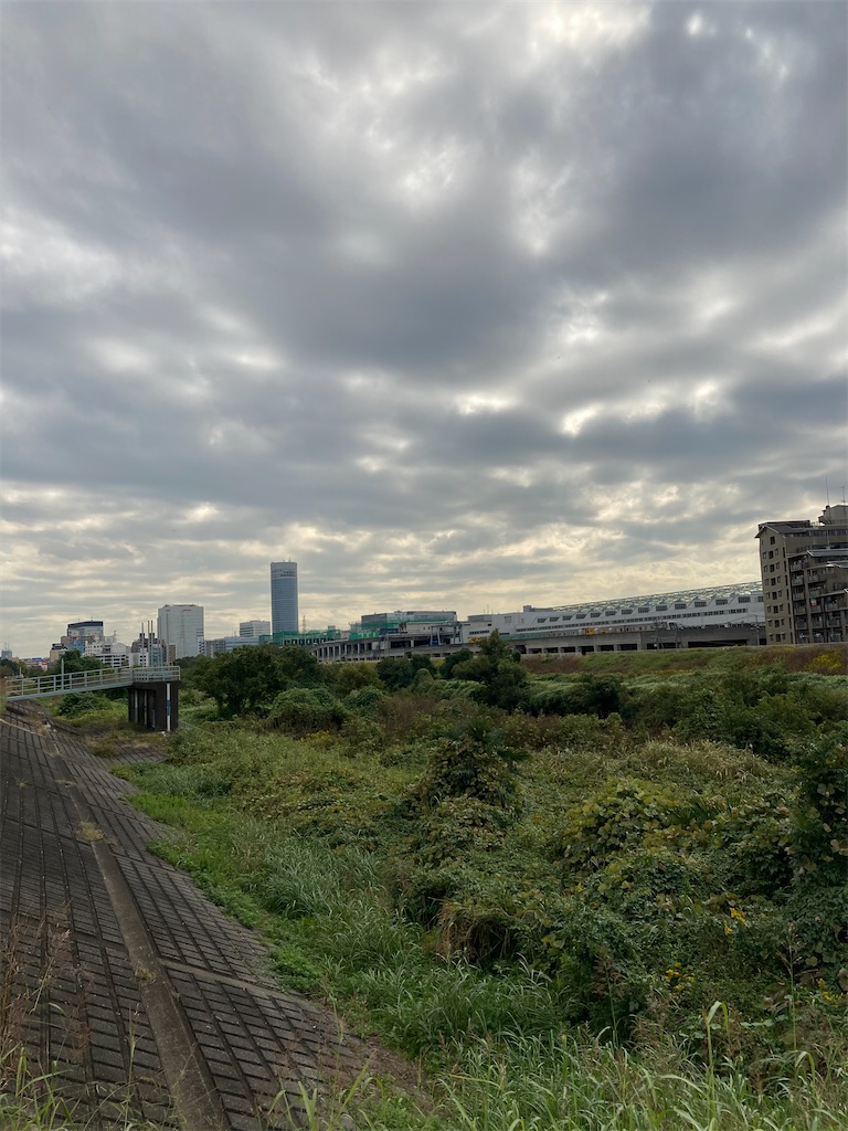 f:id:masaru-arameya:20201027141513j:image f:id:masaru-arameya:20201027141513j:image