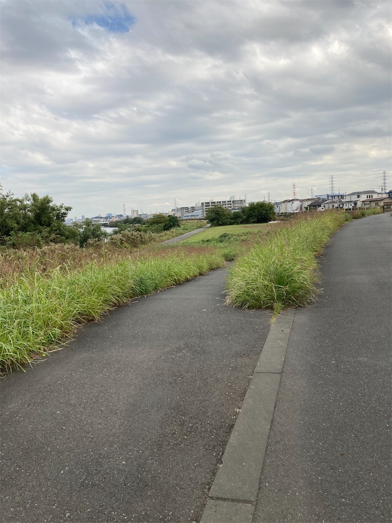 f:id:masaru-arameya:20201027141659j:image f:id:masaru-arameya:20201027141659j:image