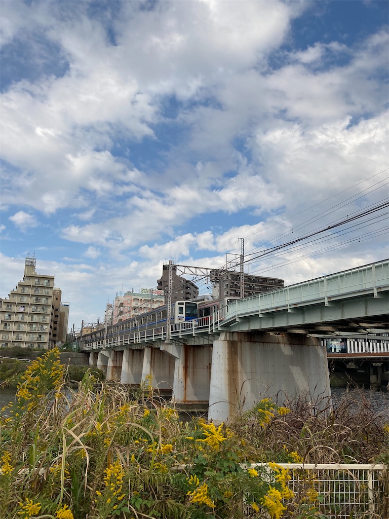 f:id:masaru-arameya:20201027141739j:image f:id:masaru-arameya:20201027141739j:image