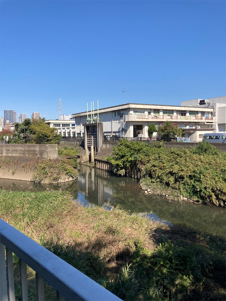 f:id:masaru-arameya:20201030090826j:image f:id:masaru-arameya:20201030090826j:image