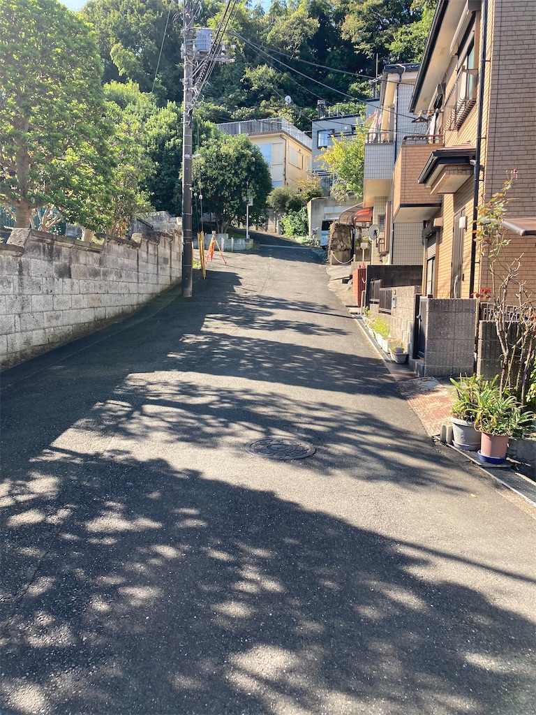 f:id:masaru-arameya:20201030091130j:image f:id:masaru-arameya:20201030091130j:image