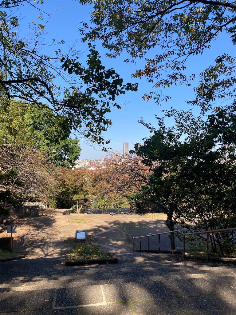 f:id:masaru-arameya:20201030091231j:image f:id:masaru-arameya:20201030091231j:image