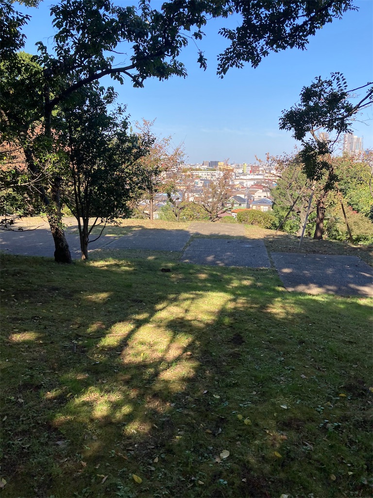f:id:masaru-arameya:20201030091238j:image f:id:masaru-arameya:20201030091238j:image