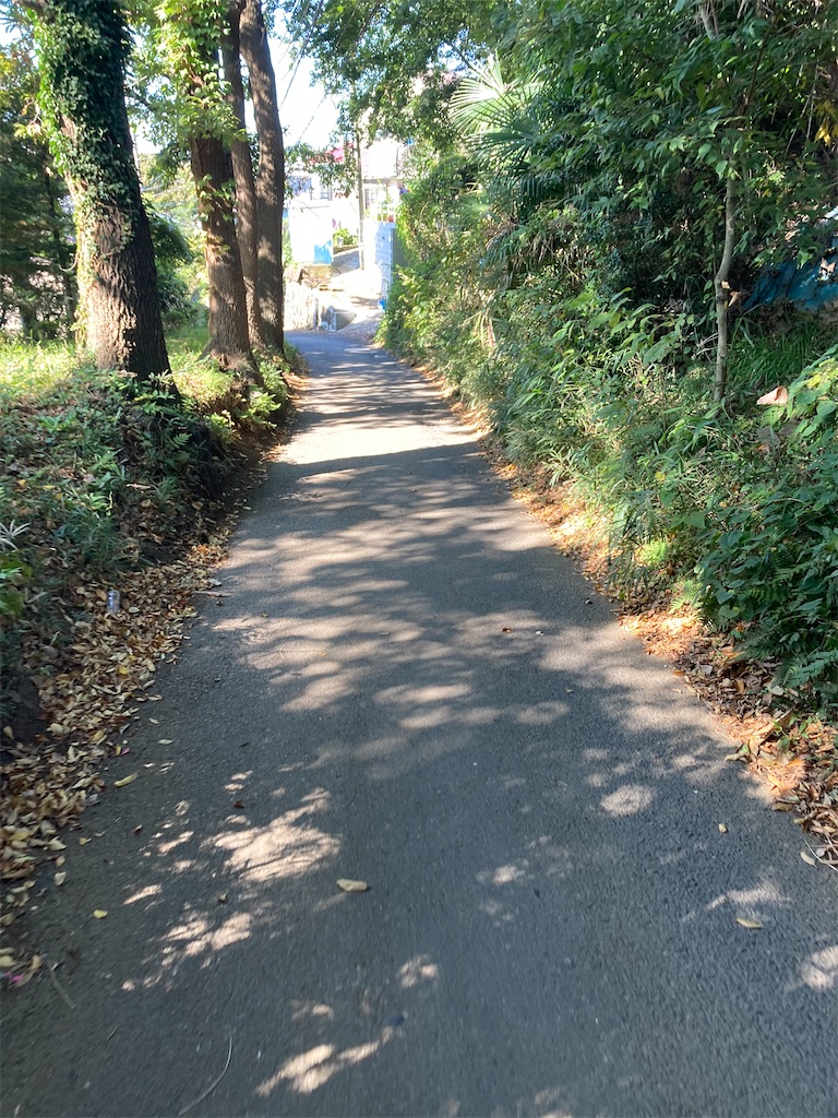 f:id:masaru-arameya:20201030091707j:image f:id:masaru-arameya:20201030091707j:image