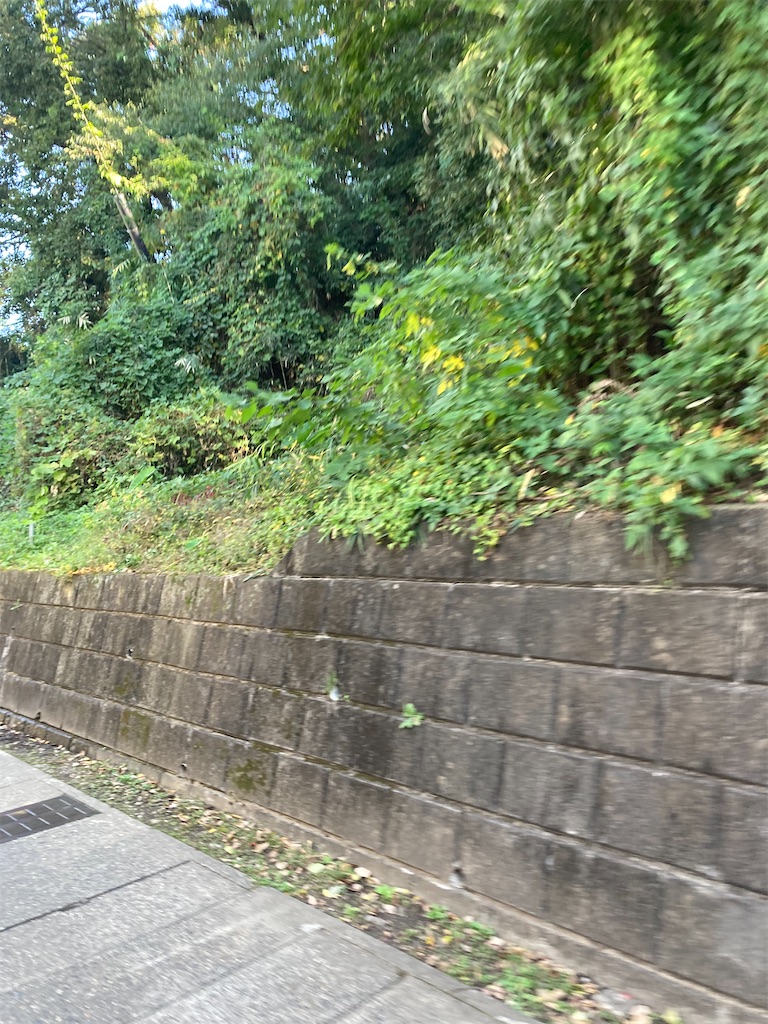 f:id:masaru-arameya:20201030091929j:image f:id:masaru-arameya:20201030091929j:image