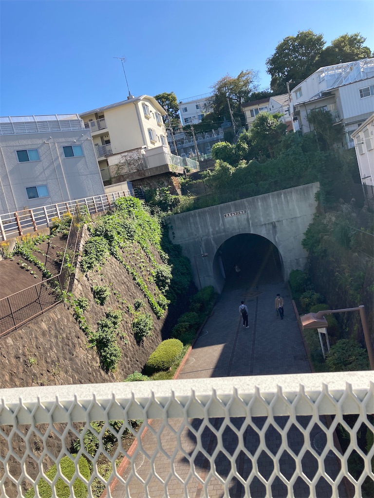 f:id:masaru-arameya:20201031083716j:image f:id:masaru-arameya:20201031083716j:image
