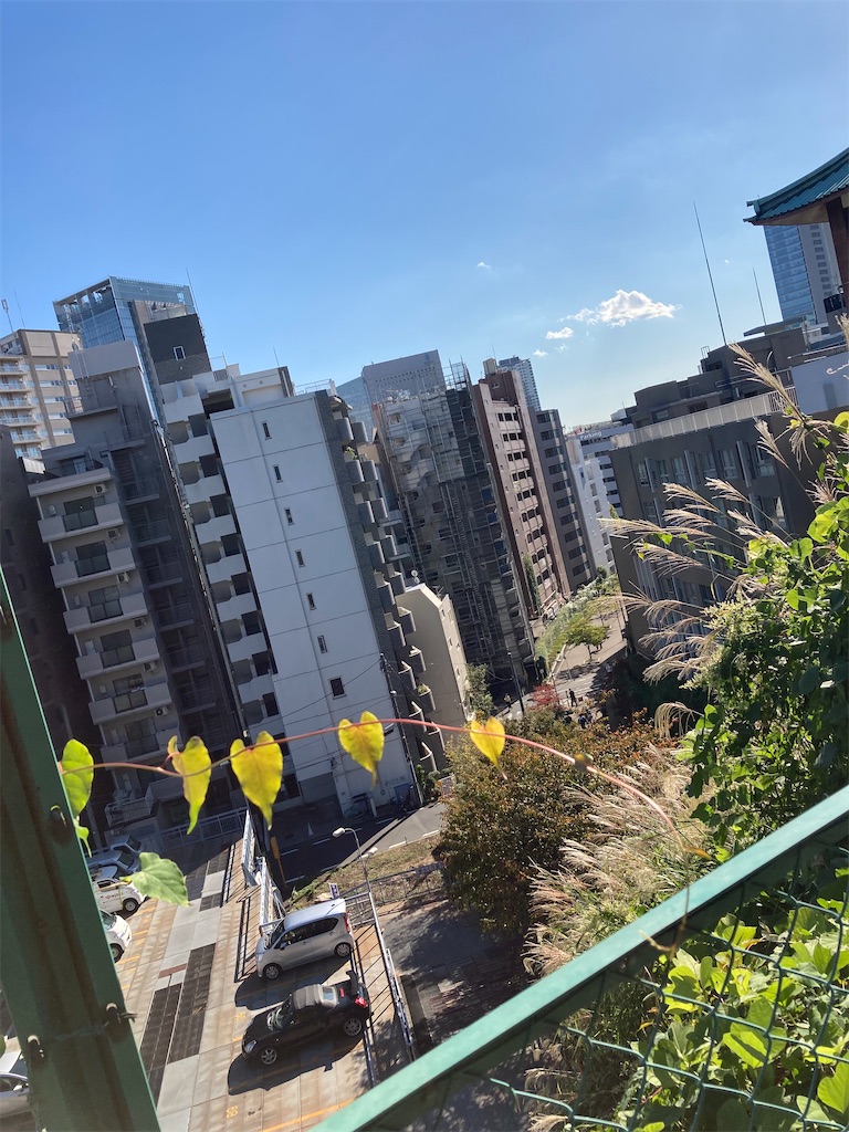f:id:masaru-arameya:20201031083858j:image f:id:masaru-arameya:20201031083858j:image