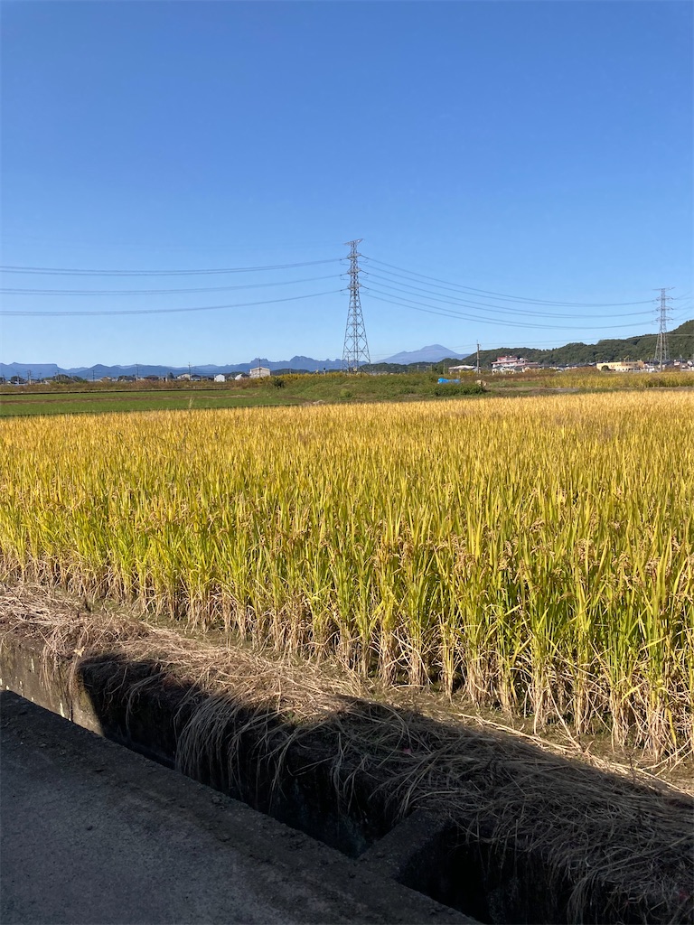 f:id:masaru-arameya:20201031182601j:image f:id:masaru-arameya:20201031182601j:image