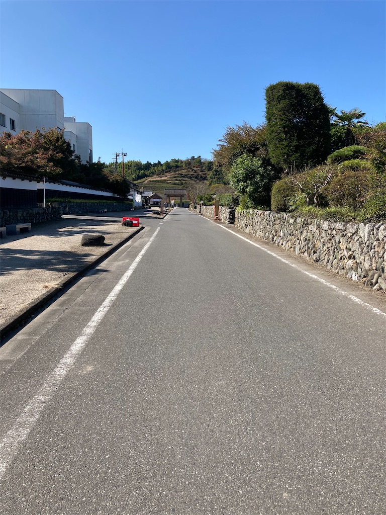 f:id:masaru-arameya:20201031182655j:image f:id:masaru-arameya:20201031182655j:image