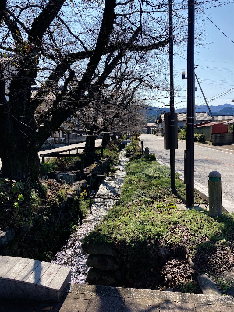 f:id:masaru-arameya:20201031182707j:image f:id:masaru-arameya:20201031182707j:image