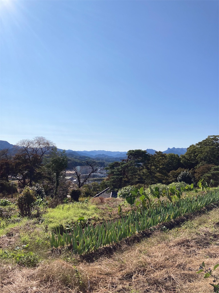 f:id:masaru-arameya:20201031221024j:image f:id:masaru-arameya:20201031221024j:image