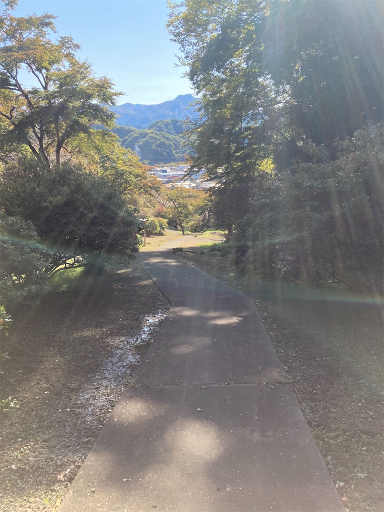 f:id:masaru-arameya:20201031221038j:image f:id:masaru-arameya:20201031221038j:image