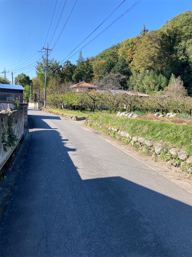 f:id:masaru-arameya:20201031221106j:image f:id:masaru-arameya:20201031221106j:image