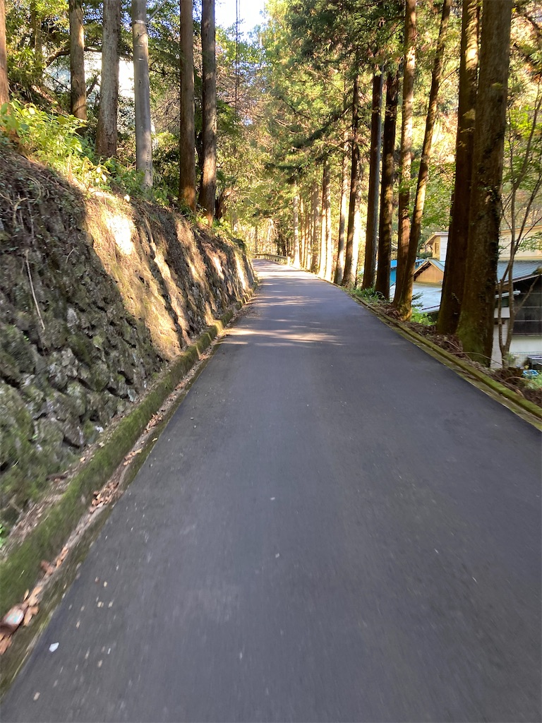 f:id:masaru-arameya:20201031221542j:image f:id:masaru-arameya:20201031221542j:image
