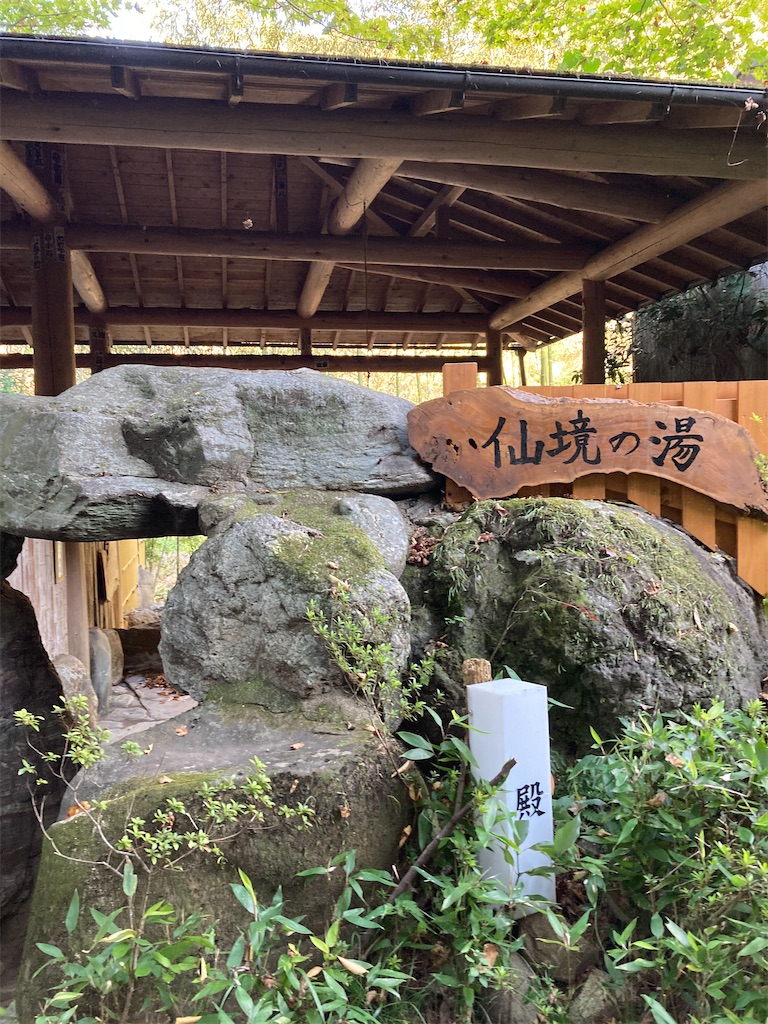 f:id:masaru-arameya:20201031221620j:image f:id:masaru-arameya:20201031221620j:image