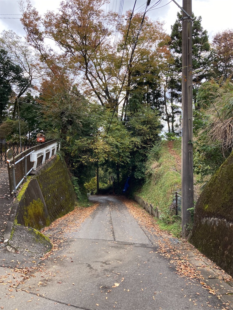f:id:masaru-arameya:20201109071615j:image f:id:masaru-arameya:20201109071615j:image