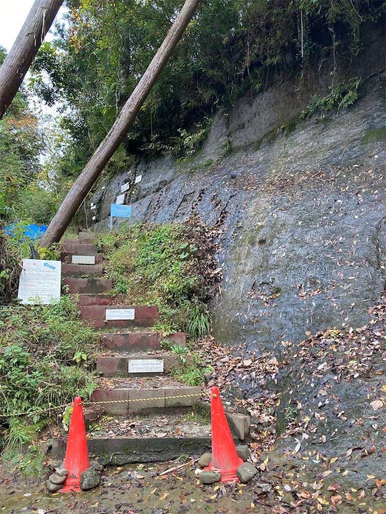 f:id:masaru-arameya:20201109072844j:image f:id:masaru-arameya:20201109072844j:image