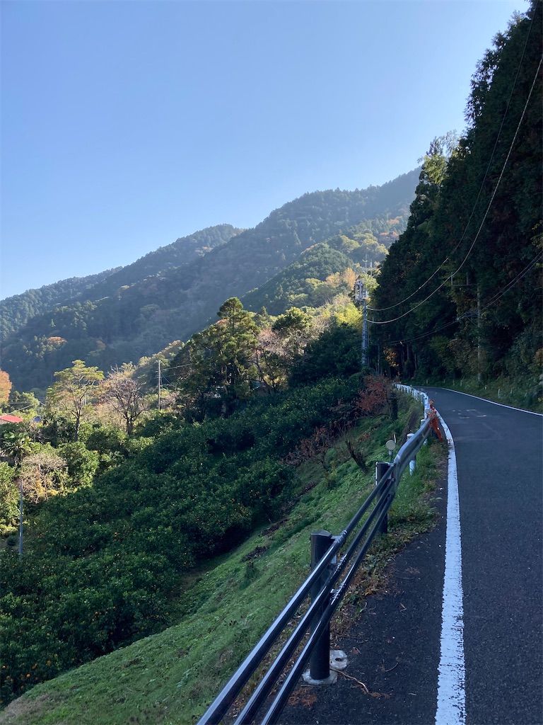 f:id:masaru-arameya:20201117202939j:image f:id:masaru-arameya:20201117202939j:image