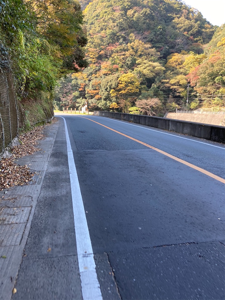 f:id:masaru-arameya:20201117203646j:image f:id:masaru-arameya:20201117203646j:image