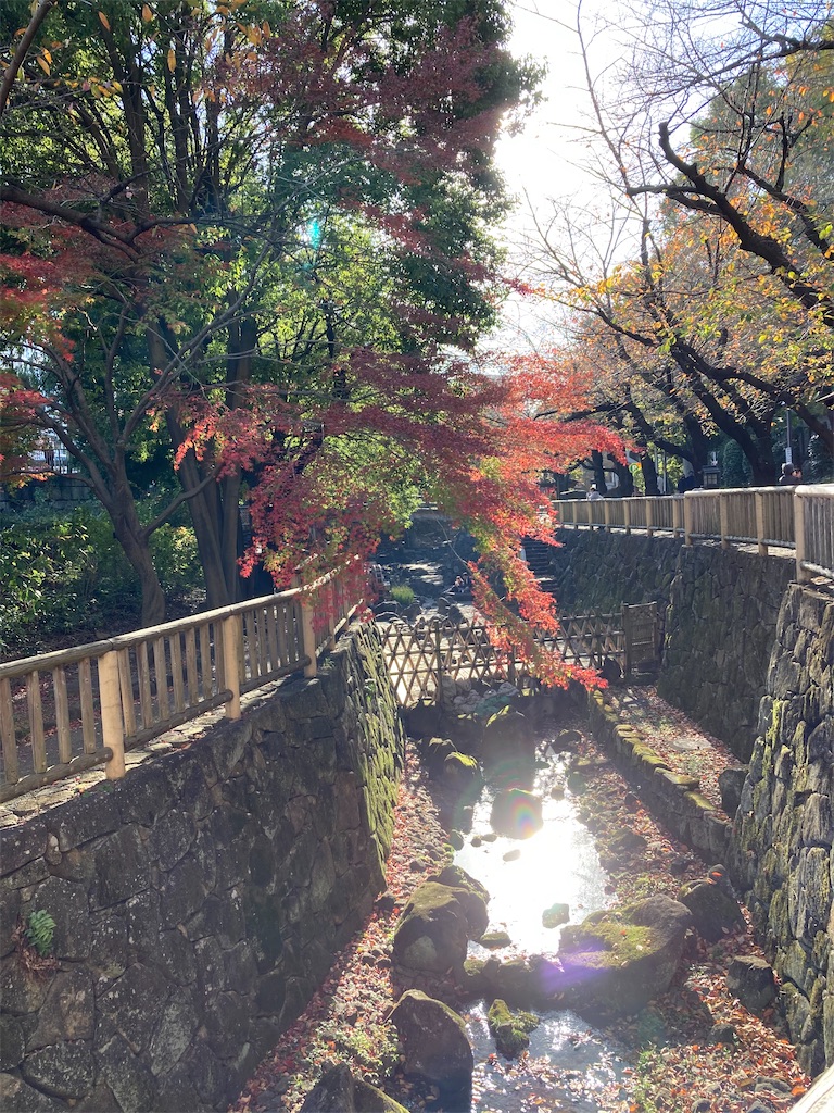 f:id:masaru-arameya:20201122170459j:image f:id:masaru-arameya:20201122170459j:image