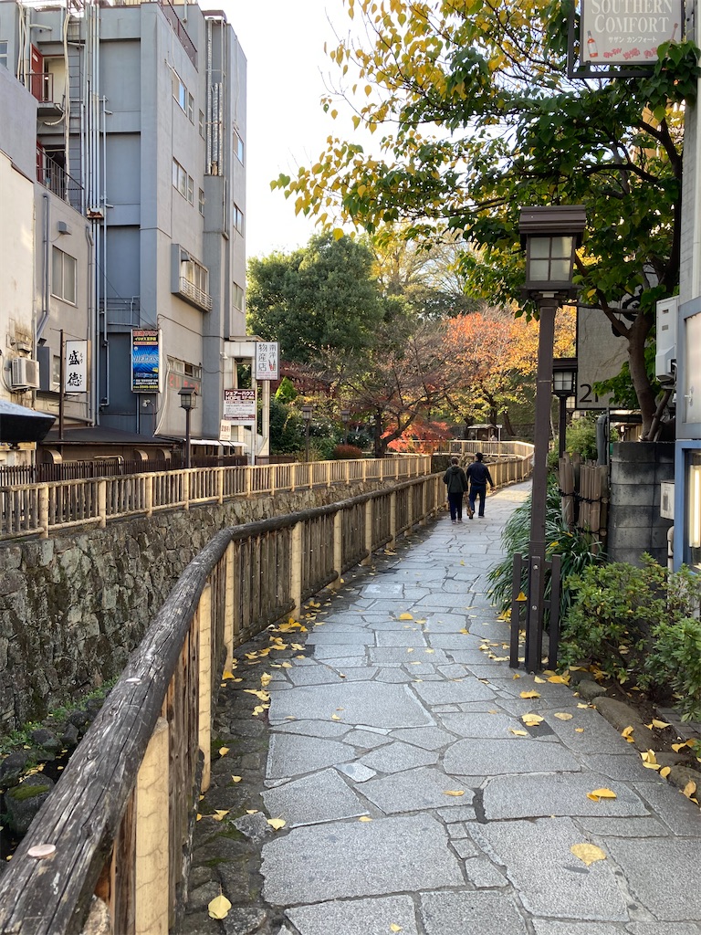 f:id:masaru-arameya:20201122170506j:image f:id:masaru-arameya:20201122170506j:image