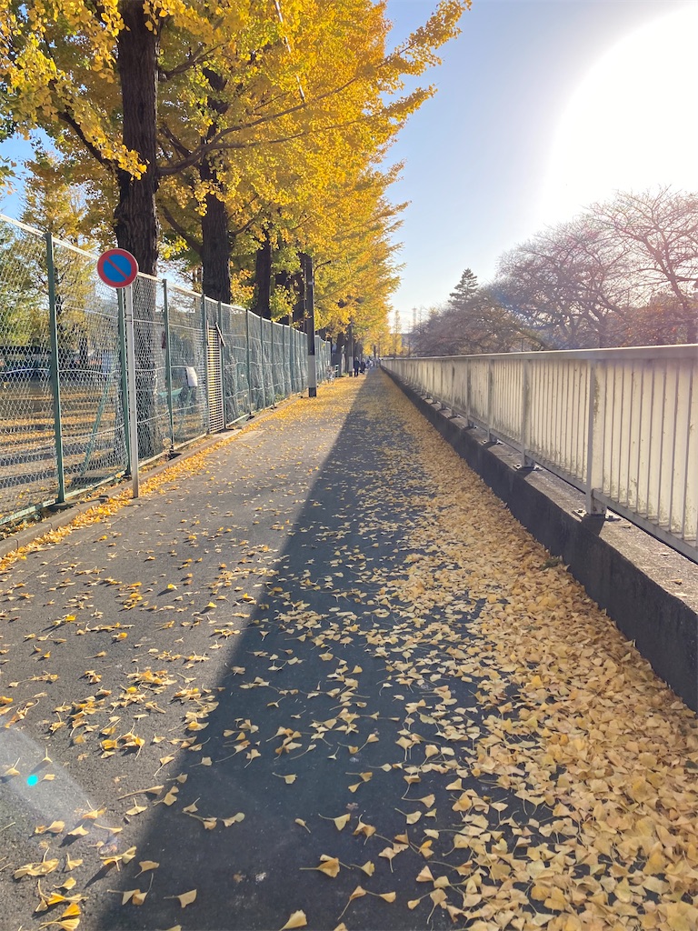 f:id:masaru-arameya:20201122170928j:image f:id:masaru-arameya:20201122170928j:image