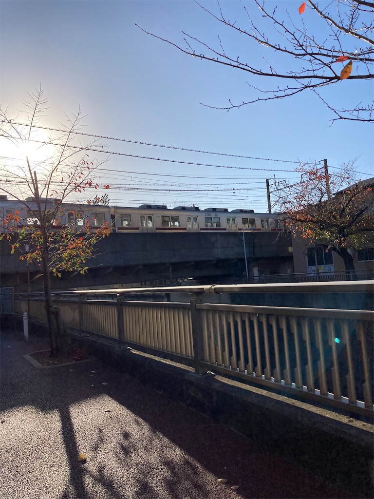 f:id:masaru-arameya:20201122170936j:image f:id:masaru-arameya:20201122170936j:image