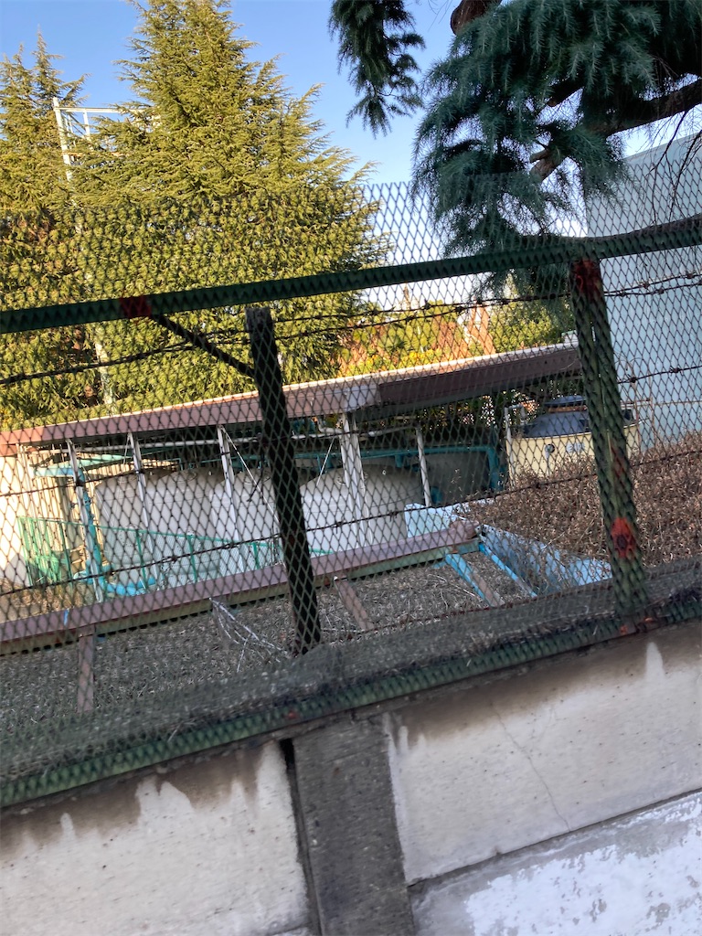 f:id:masaru-arameya:20201122171452j:image f:id:masaru-arameya:20201122171452j:image