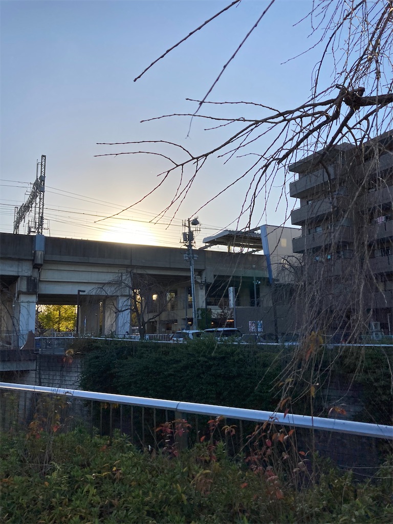 f:id:masaru-arameya:20201122171552j:image f:id:masaru-arameya:20201122171552j:image