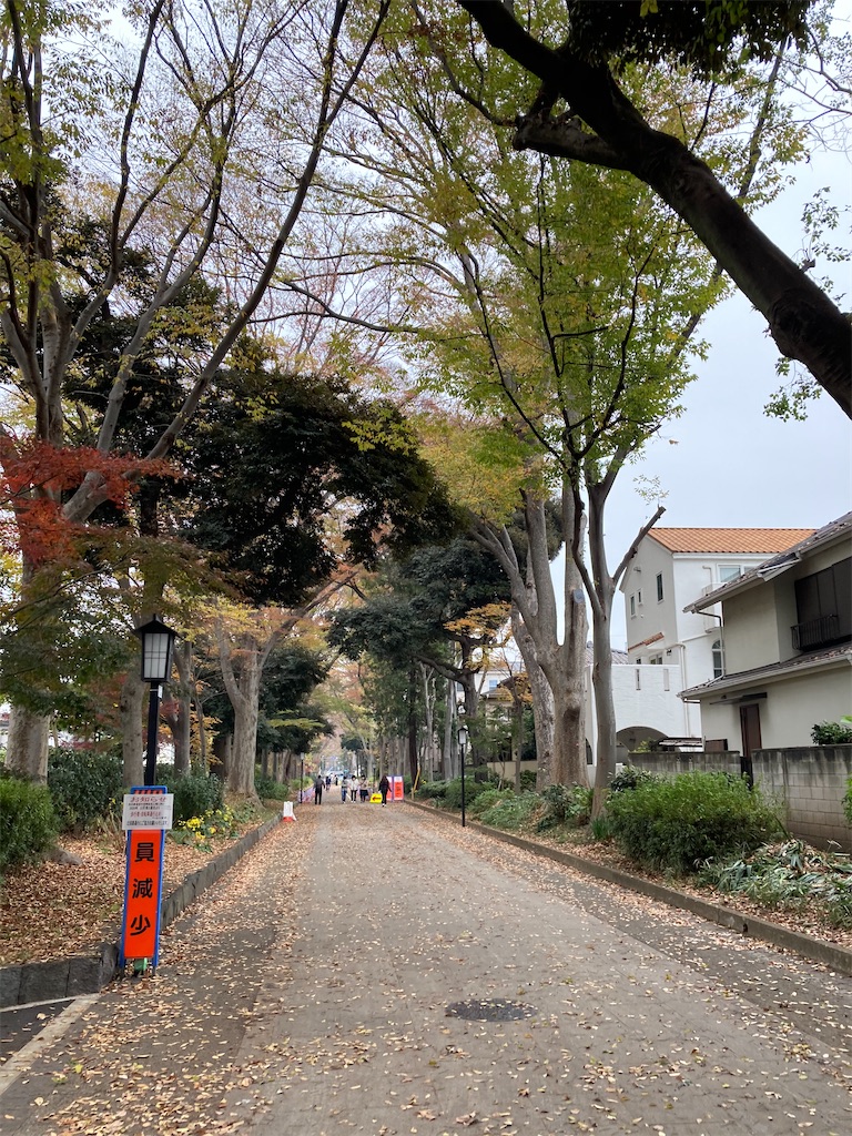 f:id:masaru-arameya:20201203165212j:image f:id:masaru-arameya:20201203165212j:image