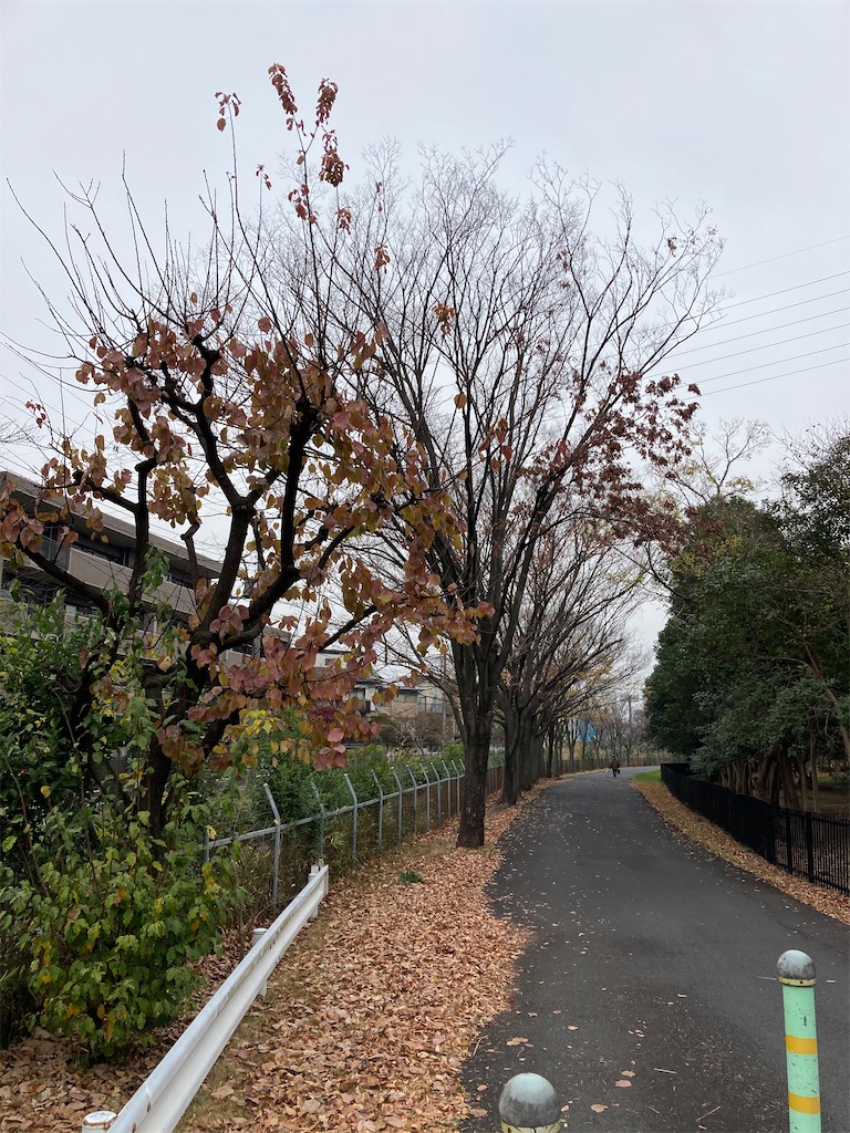 f:id:masaru-arameya:20201203165351j:image f:id:masaru-arameya:20201203165351j:image