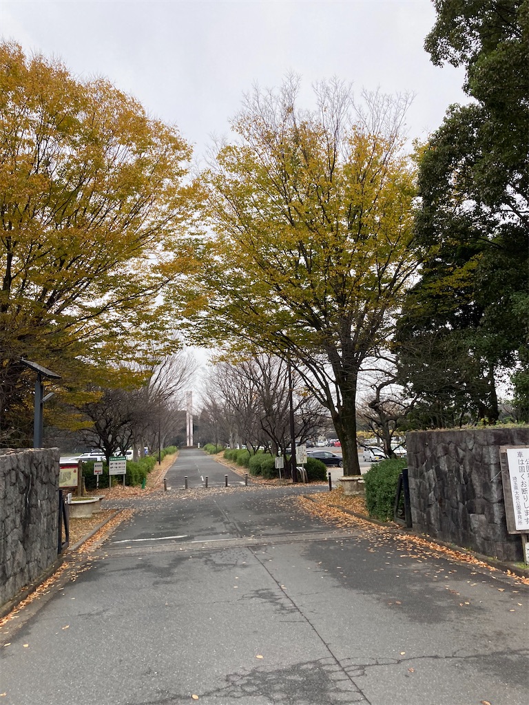 f:id:masaru-arameya:20201203165356j:image f:id:masaru-arameya:20201203165356j:image