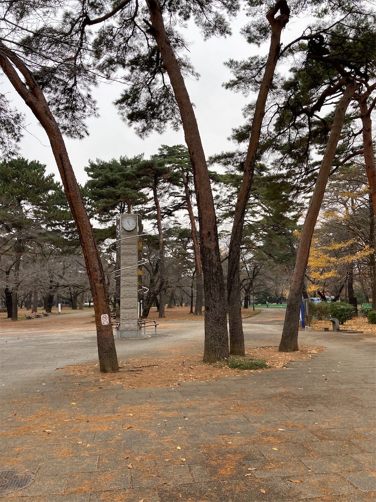 f:id:masaru-arameya:20201203165404j:image f:id:masaru-arameya:20201203165404j:image
