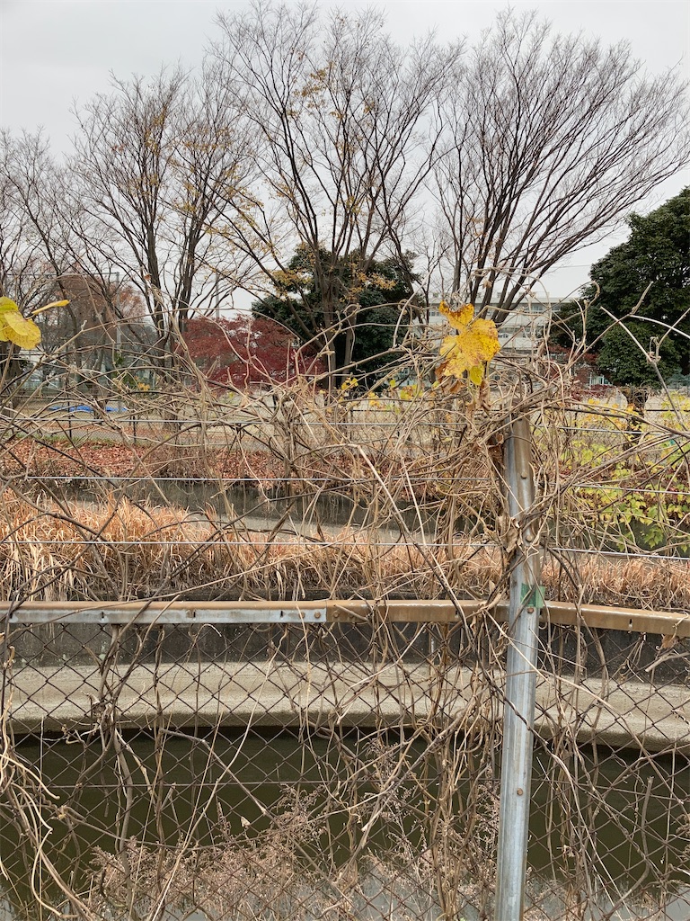 f:id:masaru-arameya:20201203170110j:image f:id:masaru-arameya:20201203170110j:image