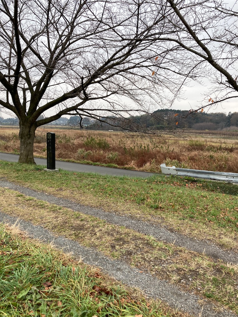 f:id:masaru-arameya:20201203170314j:image f:id:masaru-arameya:20201203170314j:image
