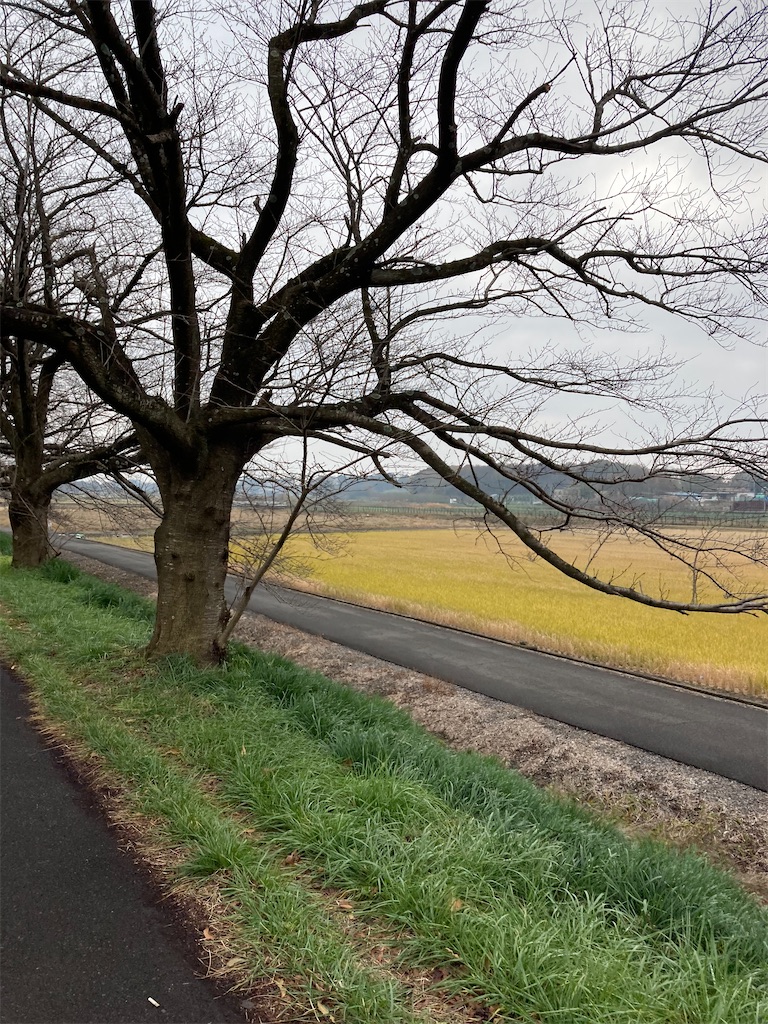 f:id:masaru-arameya:20201203170322j:image f:id:masaru-arameya:20201203170322j:image