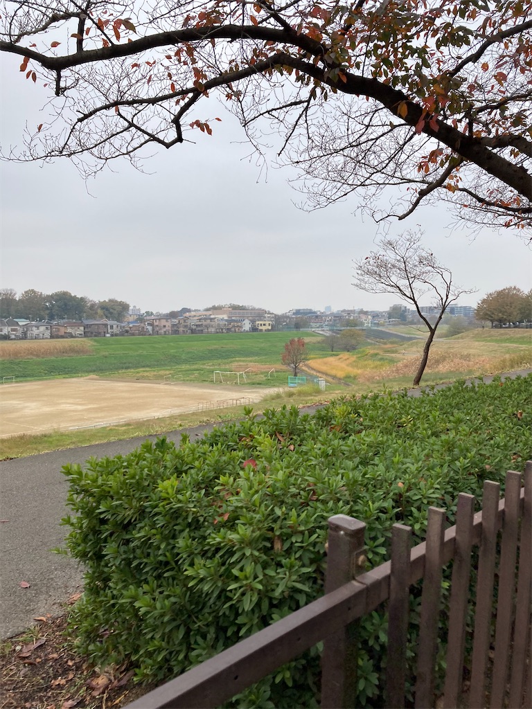f:id:masaru-arameya:20201203171019j:image f:id:masaru-arameya:20201203171019j:image