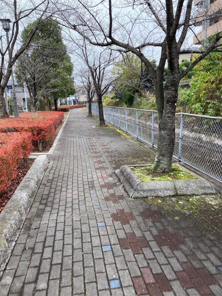f:id:masaru-arameya:20201203171024j:image f:id:masaru-arameya:20201203171024j:image