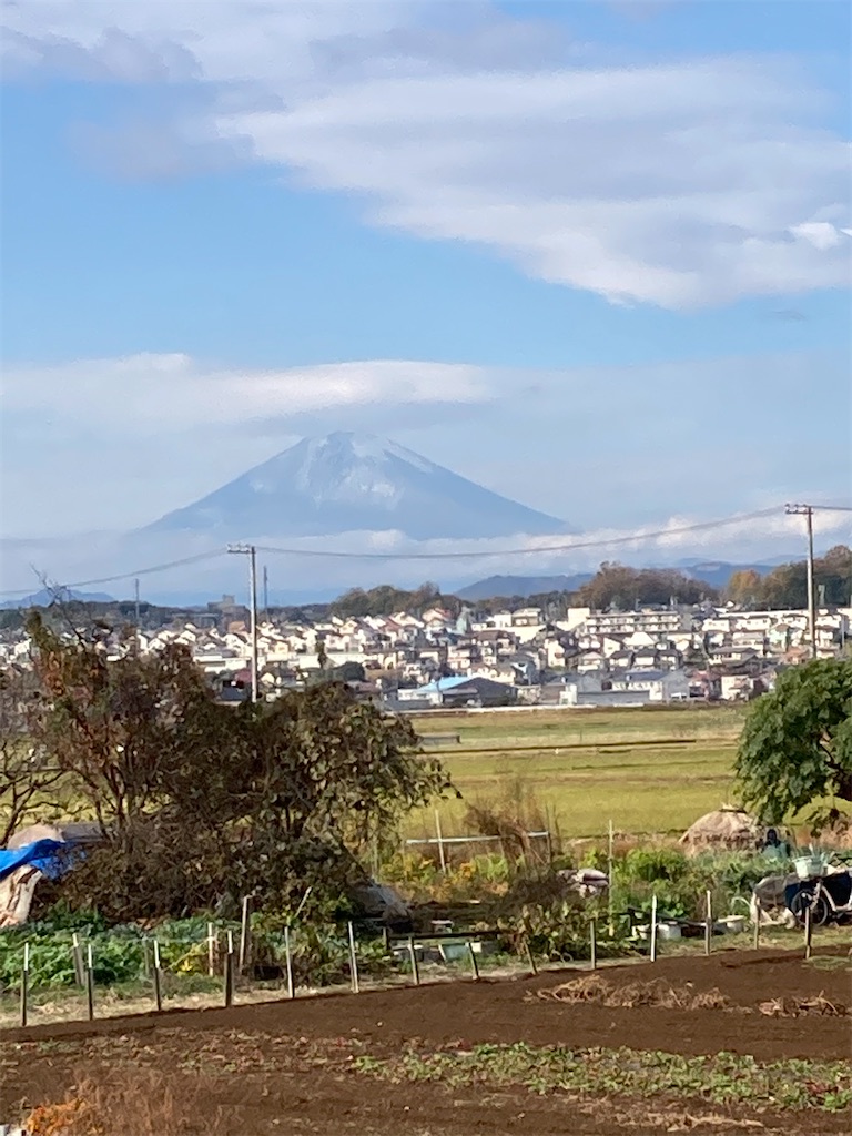 f:id:masaru-arameya:20201206173250j:image f:id:masaru-arameya:20201206173250j:image