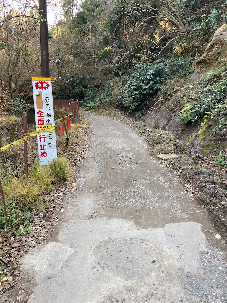 f:id:masaru-arameya:20201227211111j:image f:id:masaru-arameya:20201227211111j:image