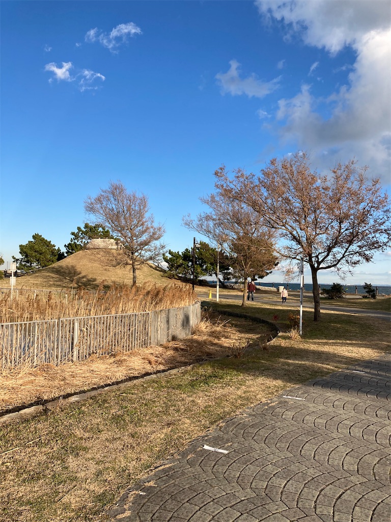 f:id:masaru-arameya:20210104082644j:image f:id:masaru-arameya:20210104082644j:image