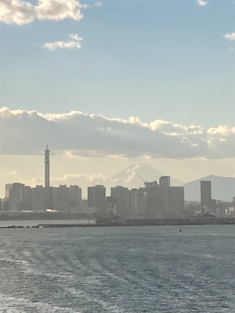 f:id:masaru-arameya:20210104082916j:image f:id:masaru-arameya:20210104082916j:image