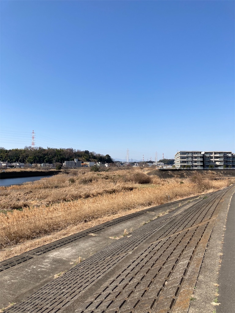 f:id:masaru-arameya:20210211131029j:image f:id:masaru-arameya:20210211131029j:image