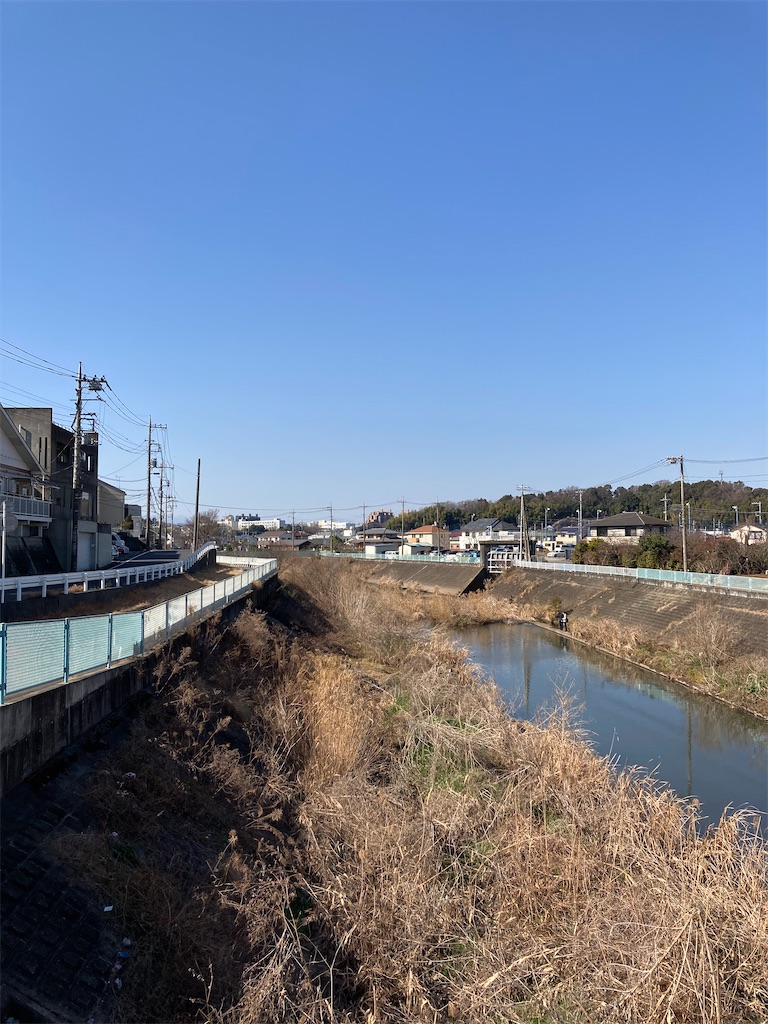 f:id:masaru-arameya:20210211131037j:image f:id:masaru-arameya:20210211131037j:image